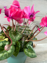 Load image into Gallery viewer, Personalized Acrylic Plant Stake