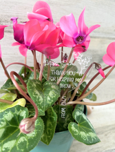 Load image into Gallery viewer, Personalized Acrylic Plant Stake
