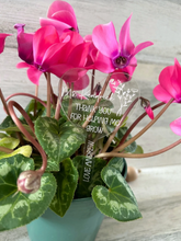 Load image into Gallery viewer, Personalized Acrylic Plant Stake
