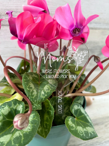 Personalized Acrylic Plant Stake