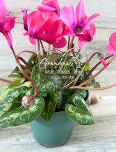 Load image into Gallery viewer, Personalized Acrylic Plant Stake
